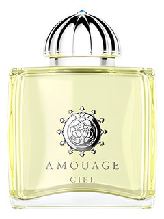 عطر ادکلن آمواج سیل مردانه | Amouage Ciel Man
